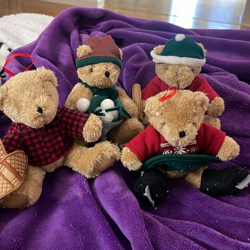Vermont Teddy Bears